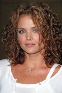 Dina Meyer profile