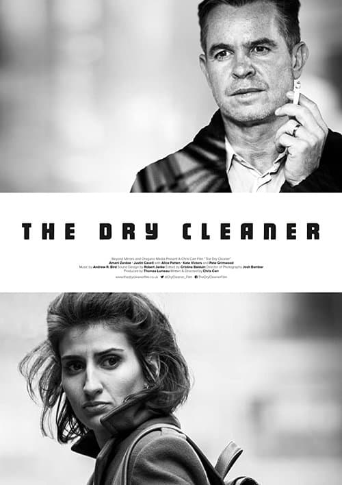 The Dry Cleaner movie poster