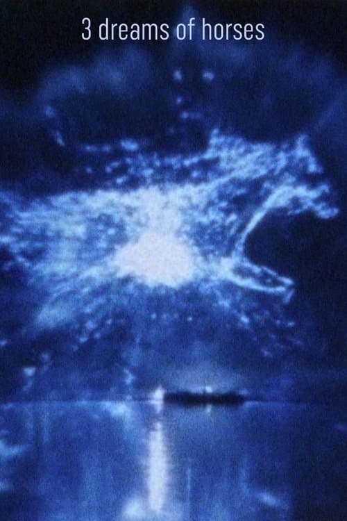 3 Dreams of Horses poster