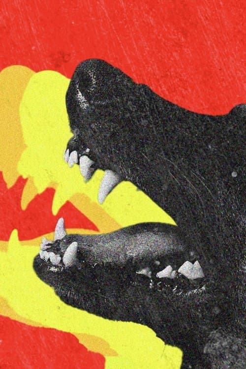 DOGTOOTH movie poster