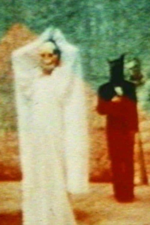 In the Shadow of the Sun movie poster