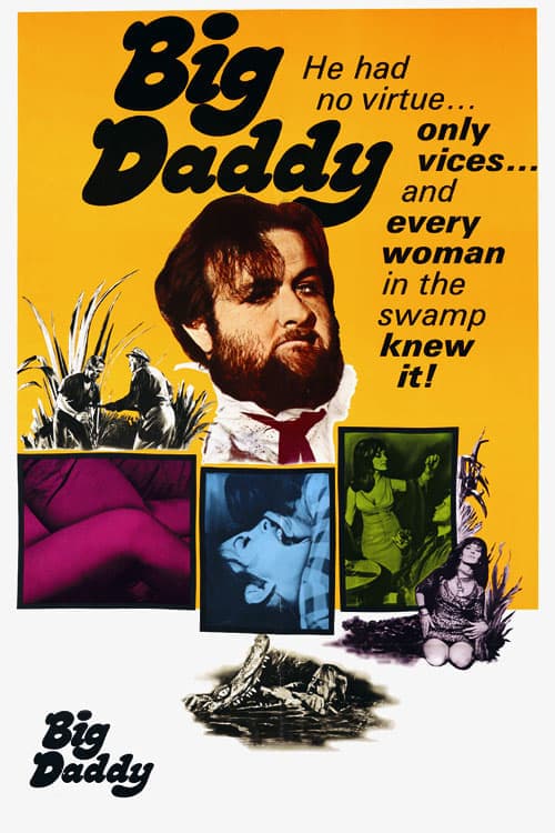 Big Daddy movie poster