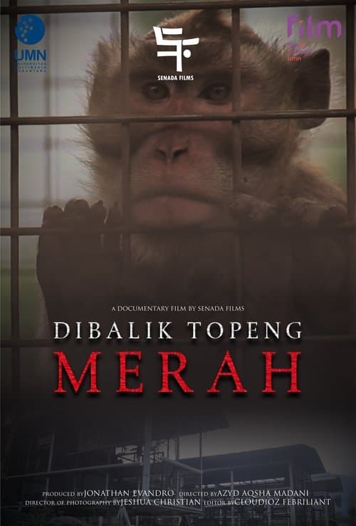 Di Balik Topeng Merah movie poster