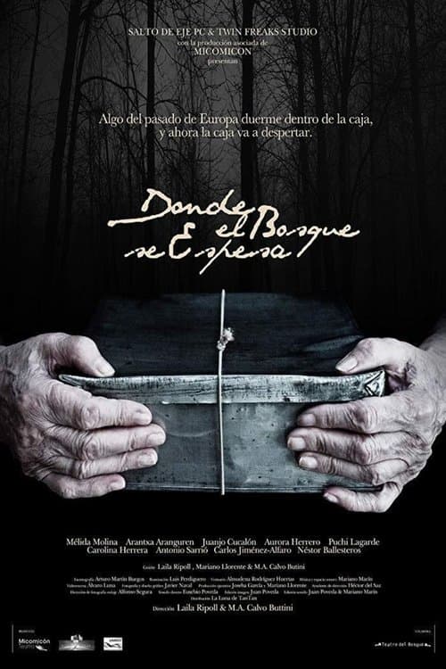 Where the Forest Thickens movie poster