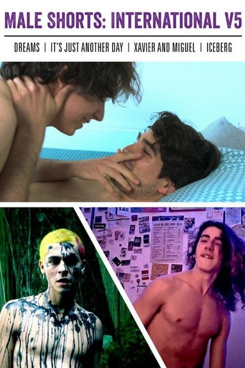 Male Shorts: International V5 movie poster