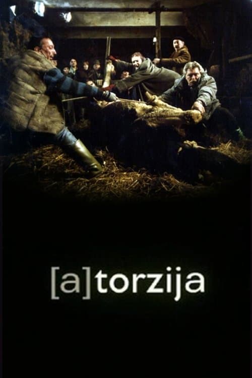 (A)Torsion movie poster