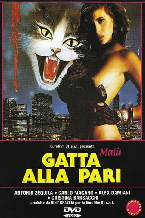 Gatta alla pari movie poster