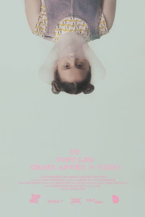 Where Do Cats Go After 9 Lives? movie poster