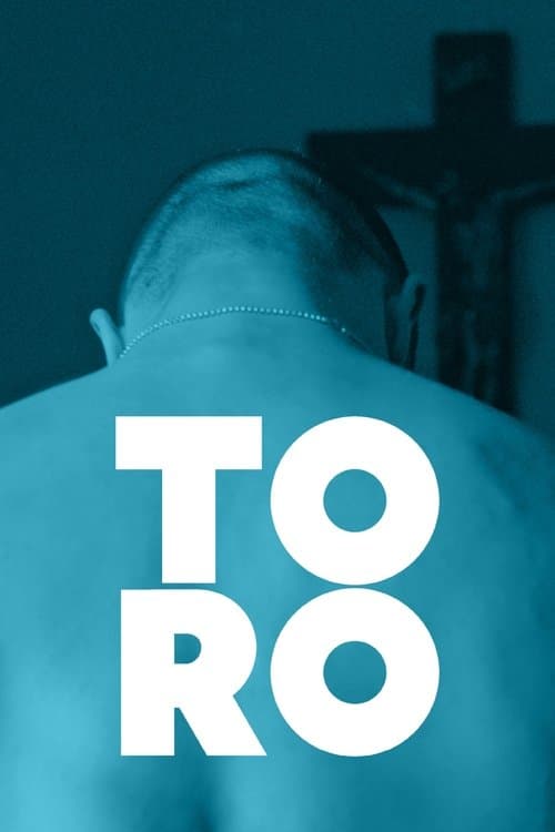 Toro movie poster