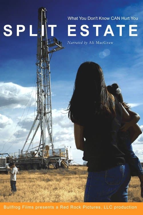 Split Estate movie poster