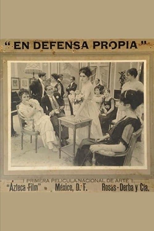 In Self Defense movie poster
