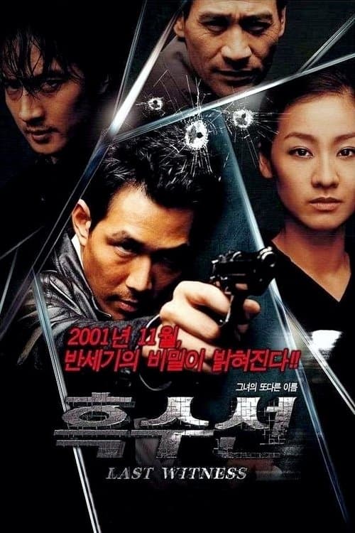 The Last Witness movie poster