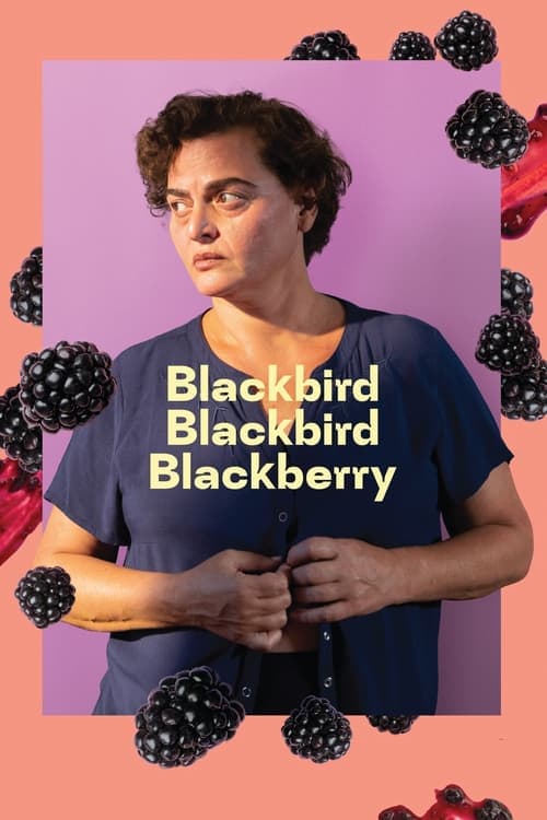 Blackbird Blackbird Blackberry movie poster