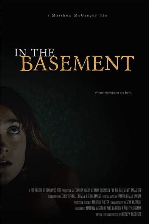In the Basement movie poster